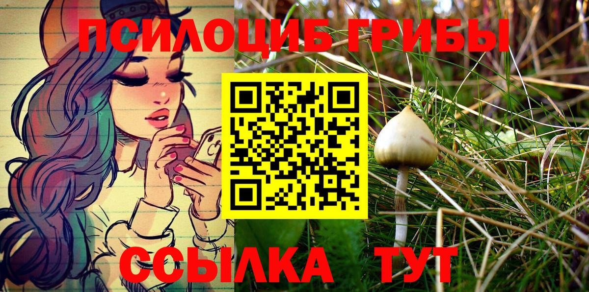 Галлюциногенные грибы Psilocybe Петропавловск-Камчатский
