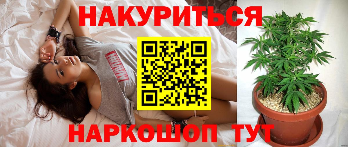 Петропавловск-Камчатский  Бошки марихуана ГИДРОПОН  Вход с VPN  Бошки Шишки планчик 